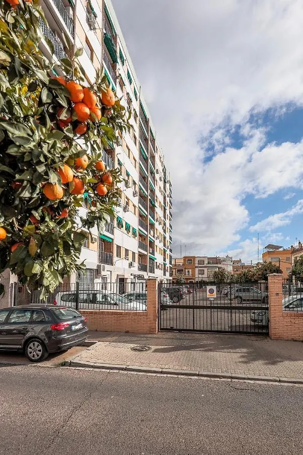 Elegante Apt Luminoso Y Tranquilo De 2 Hab Sevilla Wifi-Ful Parking Inc 0*, Seville Spain